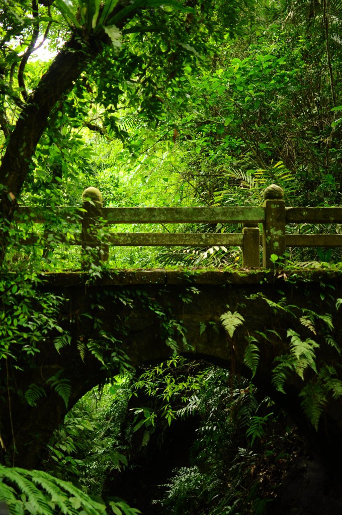 新竹水濂橋步道_656061