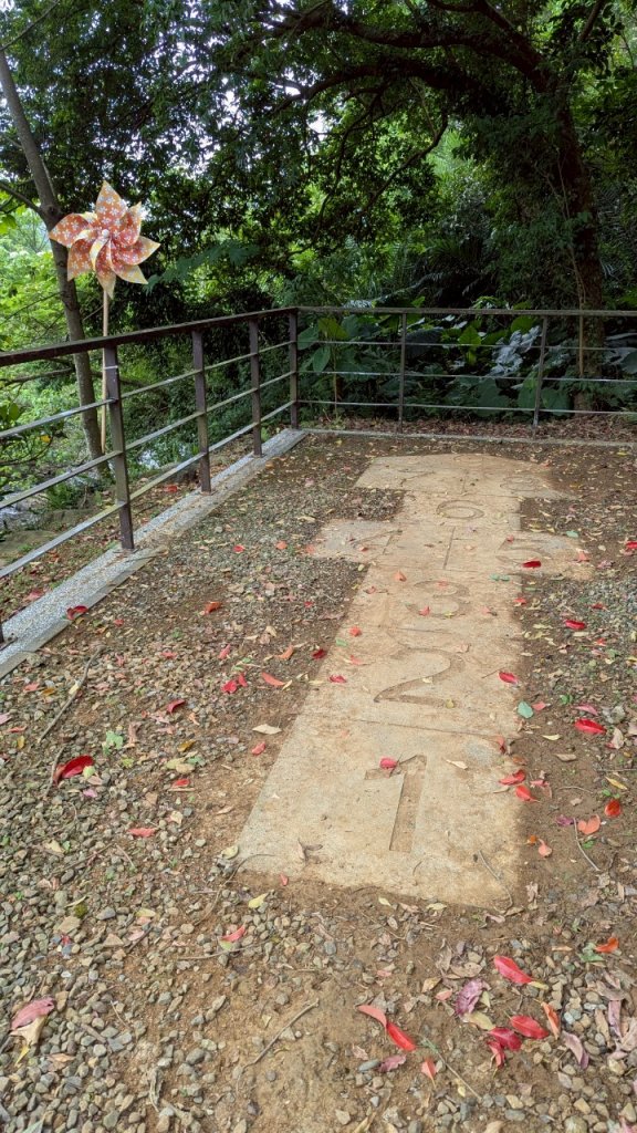 114.05.04三芝桐花步道-百年田梯步道-大鵬足湯公園_2779901