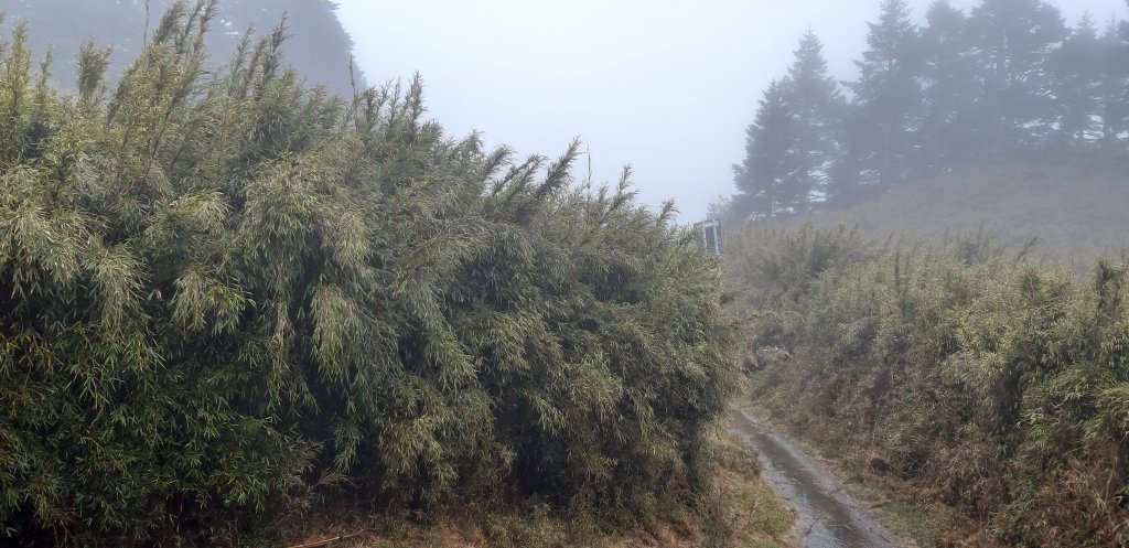 大霸群峰之旅_596292