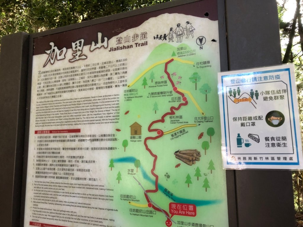 台版富士山加里山·森林系小百岳_1039746