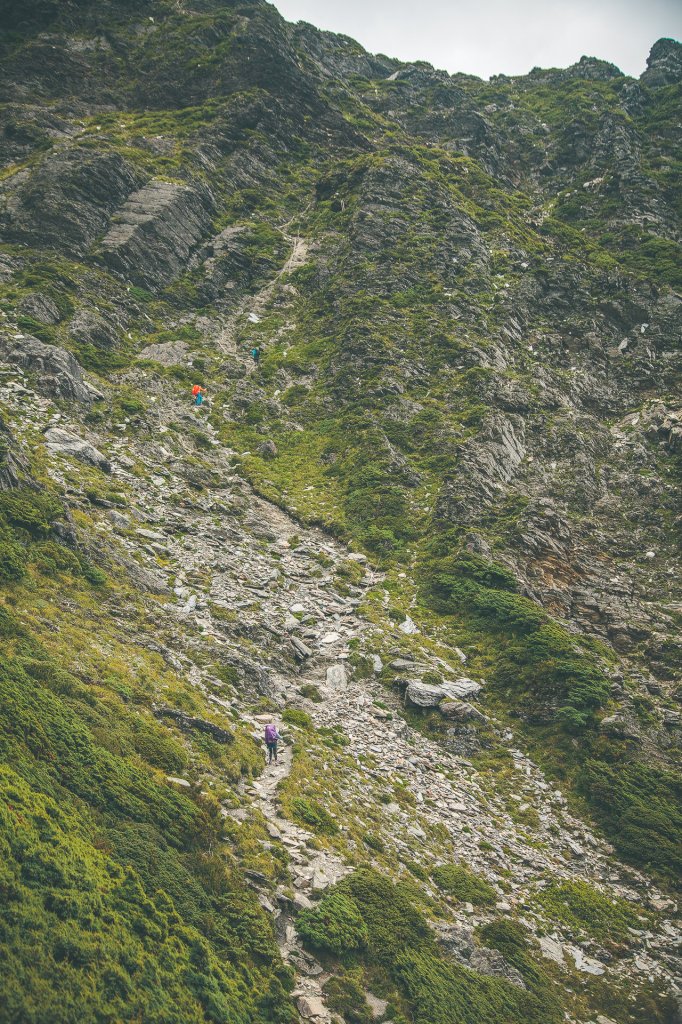 20200904~6-[南投] 奇萊主北_1633156