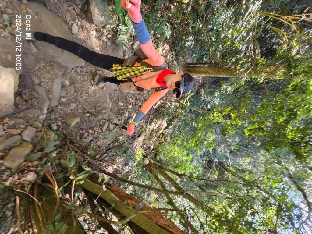 【谷關七雄】波津加(H1771.6m)肉腳配速成功_2670427