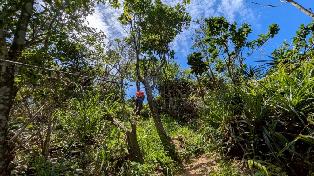 114.06.28內平林山-番子坑山-平湖森林遊樂區之O型_2824220