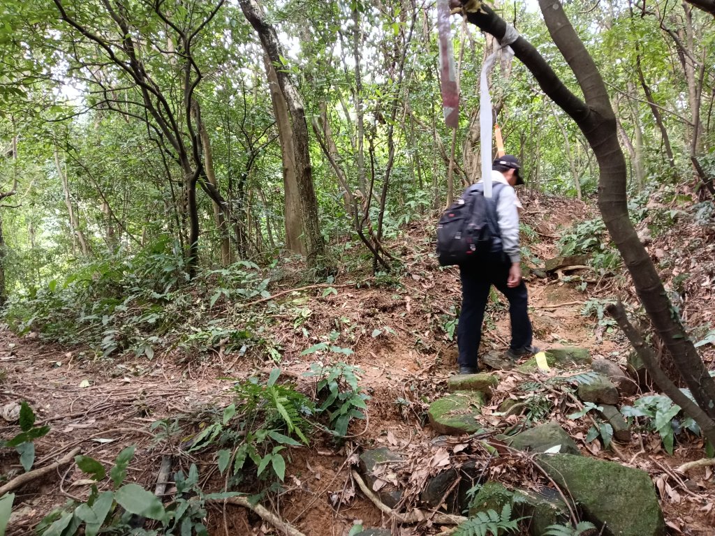基隆市三層山+湳子大崙+淡基橫斷古道+面桶寮土地公_2982232