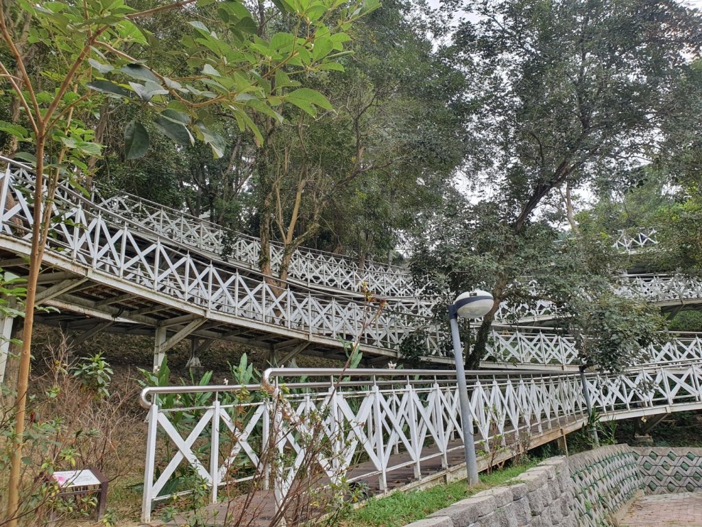 竹崎親水公園_2312629