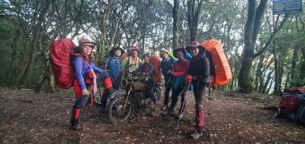 北二段之 甘薯無明_2611900