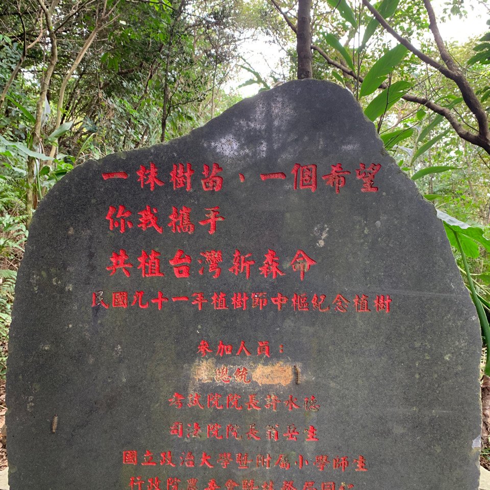 飛龍步道-樟山寺-樟樹步道_1265162