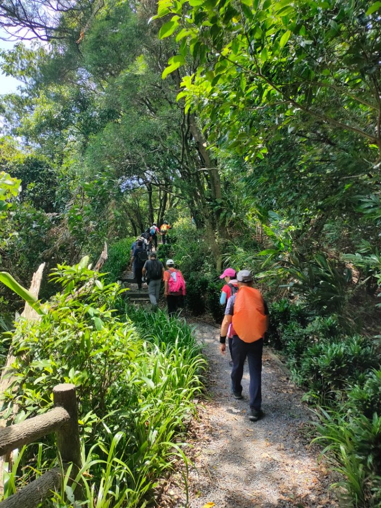 ［圓通寺烘爐地環山步道連走］（外挖子山,光明頂,南勢角山,青春嶺,國旗嶺）（2023/8/9）_2245055