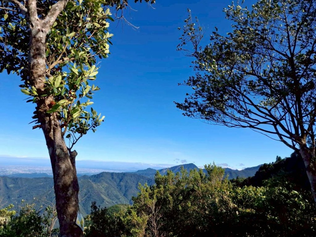 🌈11/9(日)高島縱走~高台山連走島田山山徑✨FB：熊熊趴爬走🌈_2932487