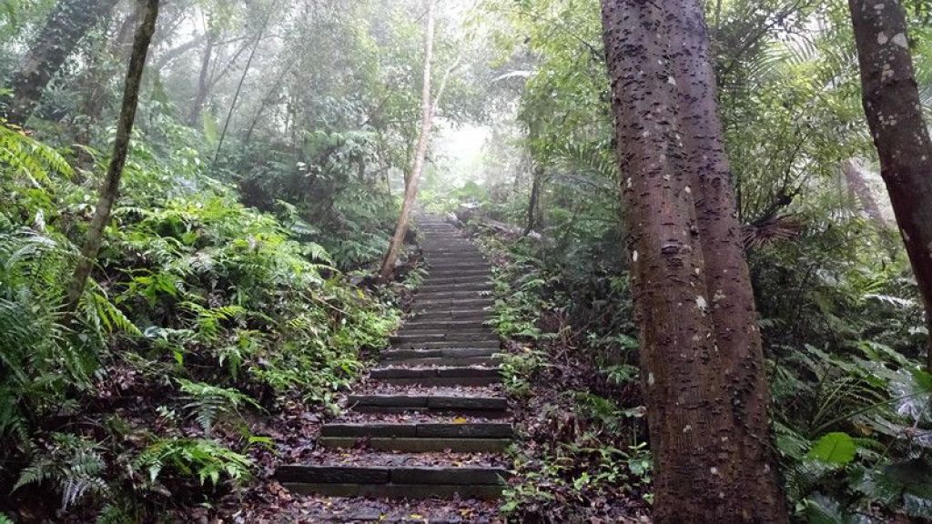 法雲寺古道_106760