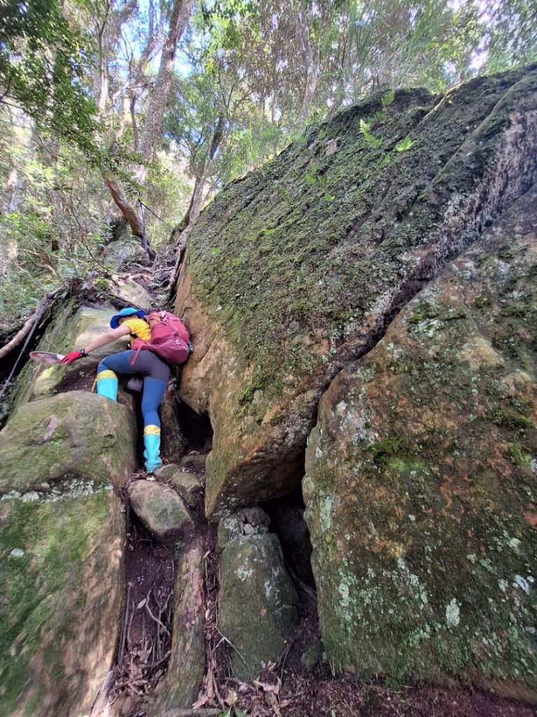 嘎色鬧上那結山_2575544