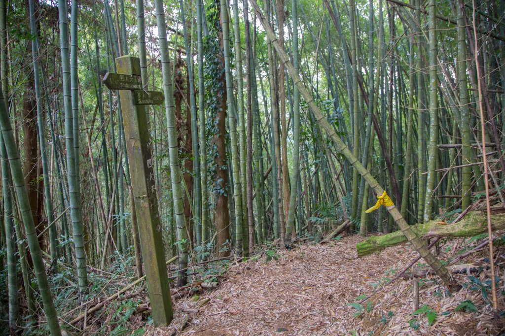 步道巡訪員│四大天王山步道一月巡訪日誌_817786