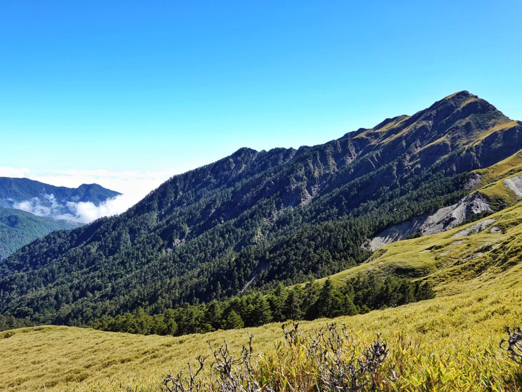 奇萊主峰（九峨）奇萊北峰（十峻） 三日行_1922036