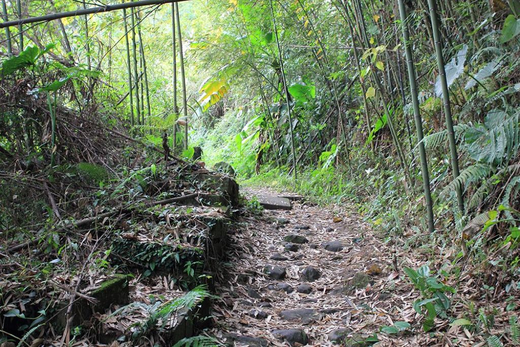 馬那邦山(珠湖線來回)_375008