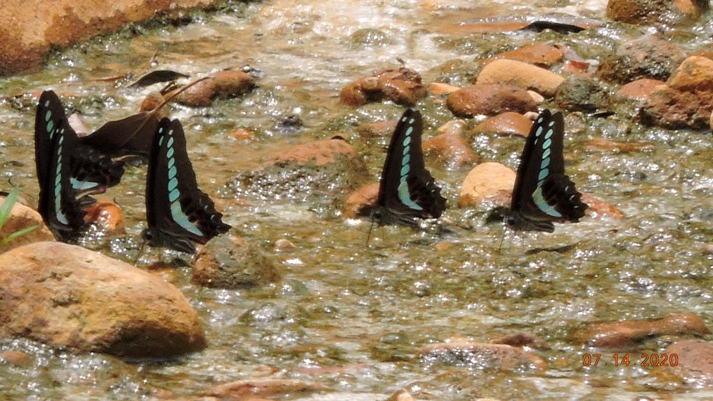 就是喜歡這個藍天白雲的FU_1032942