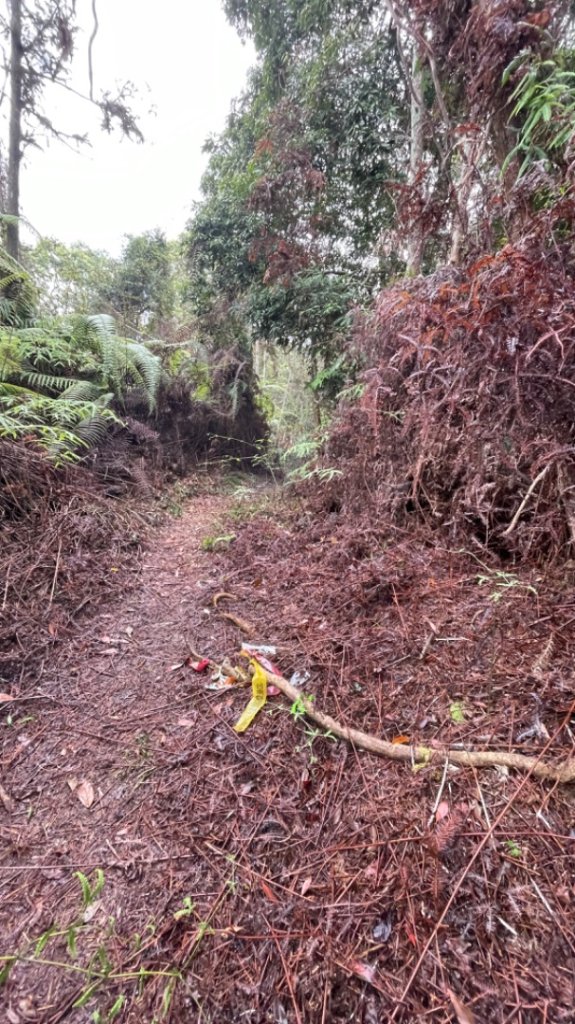 過坑山快閃封面圖