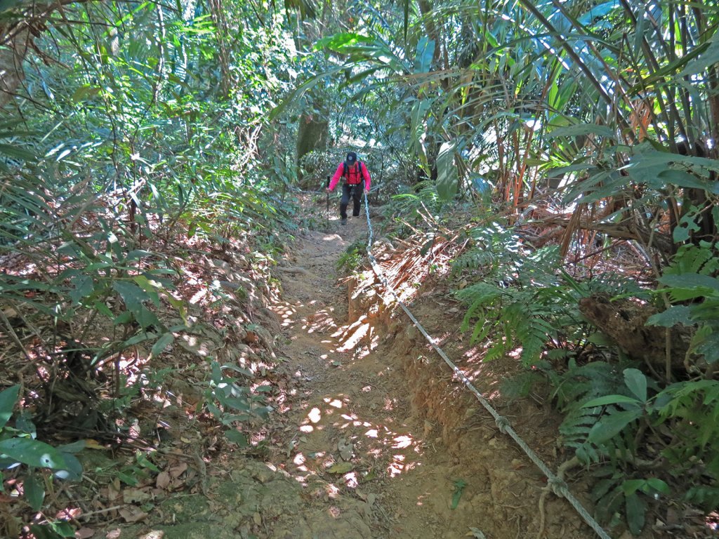 總督府步道.頭寮山_752446