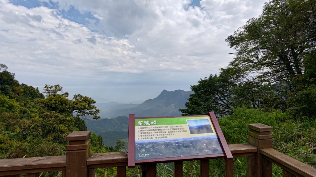 金柑樹山_2759422