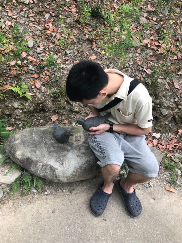 知本國家森林遊樂區午後一遊_305920