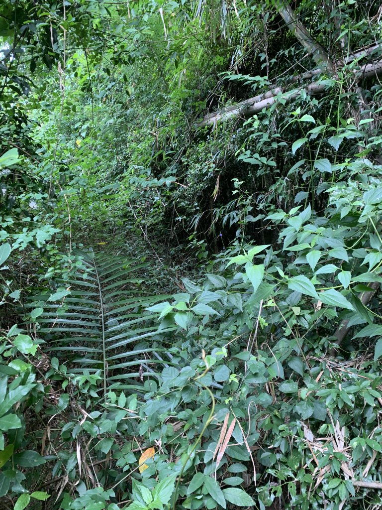 20251024台南邦埤山-三崁山_2925693