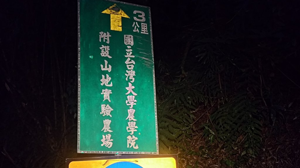 梅峰山地農場立鷹山_2749461