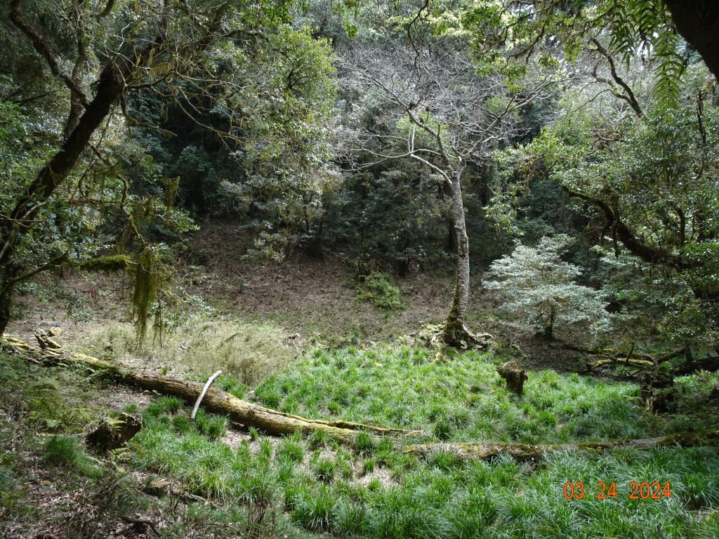 伊利雅娜產道（一般車停車處步行單程約5K產道）至登山口轉接山徑登北霞山往返_2461253