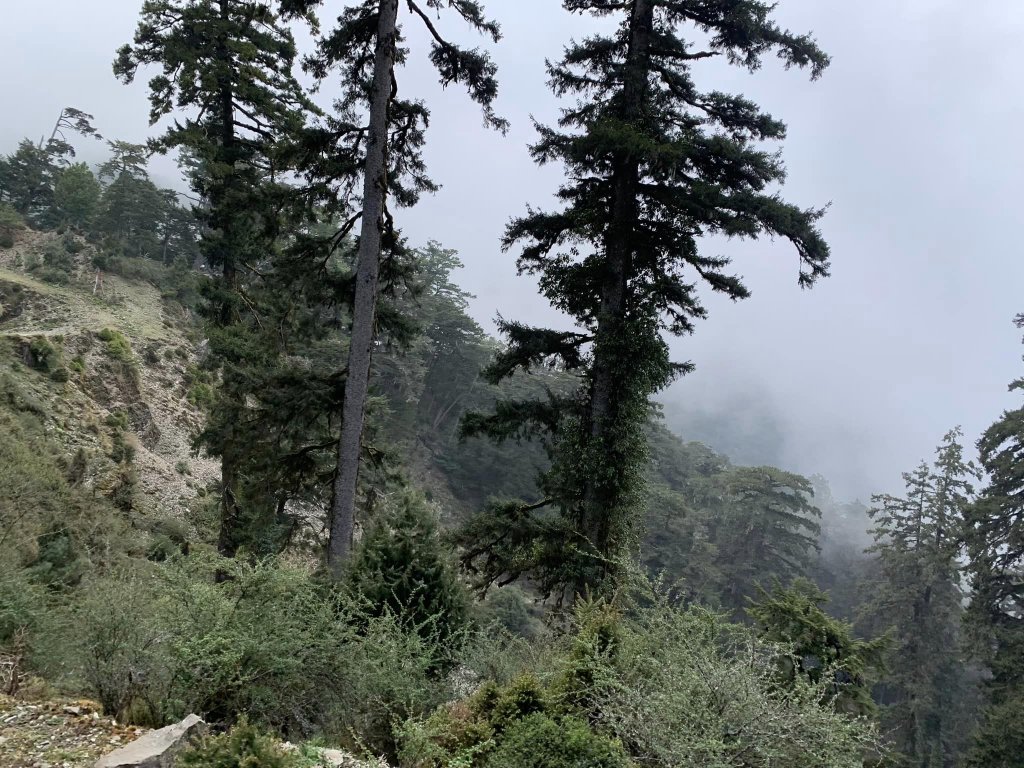 漂亮七彩湖（百岳）_2111937