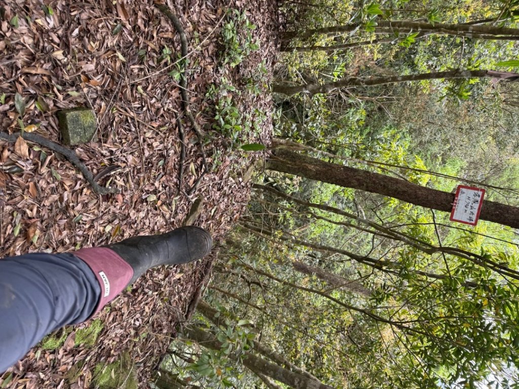 桂山路197巷 》呂奔山北峰 》呂奔山 》阿玉壩_2755808