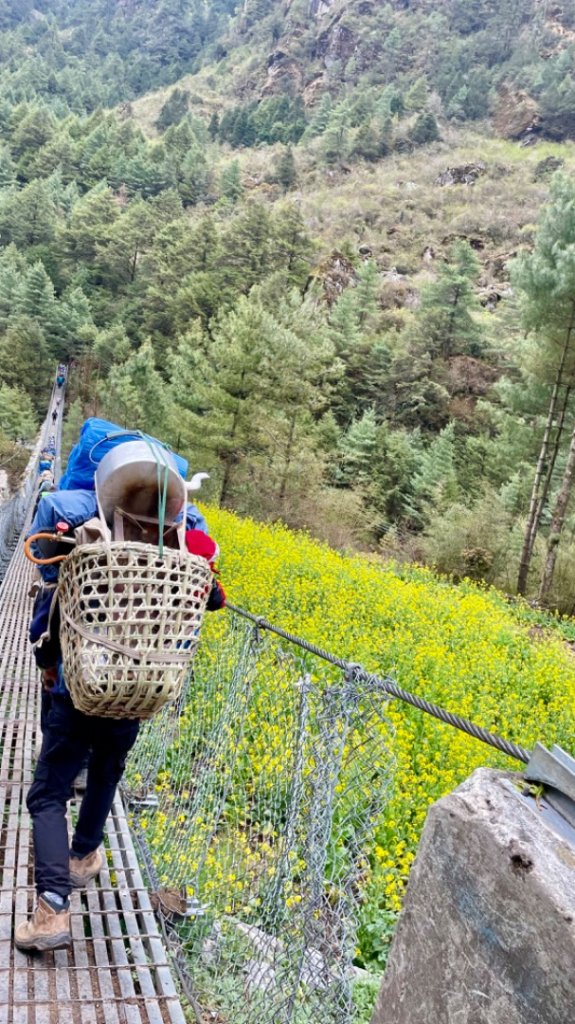 尼泊爾聖母峰EBC基地營❤️風景篇_2790930