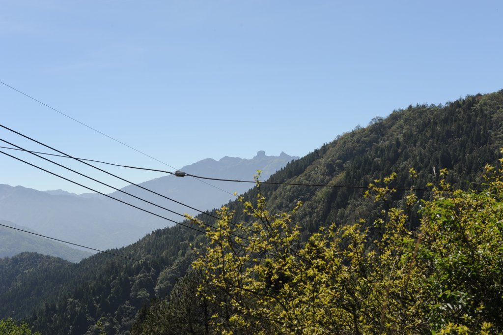 2013_0629_檜山巨木森林步道_2174320