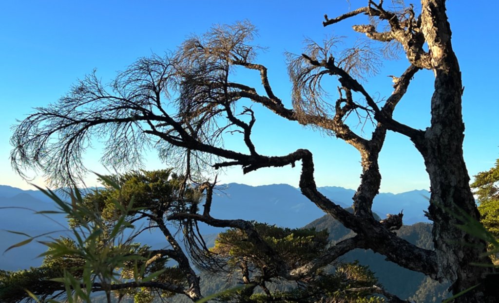 值得為它緩慢⋯白姑大山_1487680