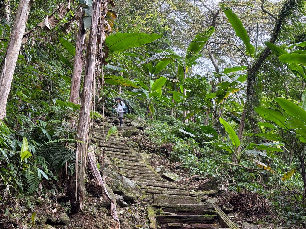 鯉魚山步道群_2728333