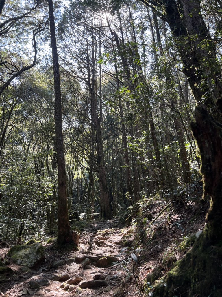 小百岳-稍來山_2752442