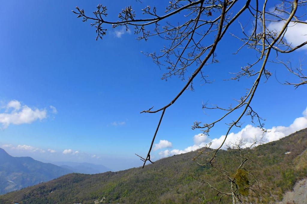 20140301奇萊南峰、南華山(兩天)_13854