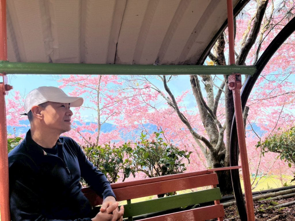 桃園 復興 巴陵 恩愛農場_3011864