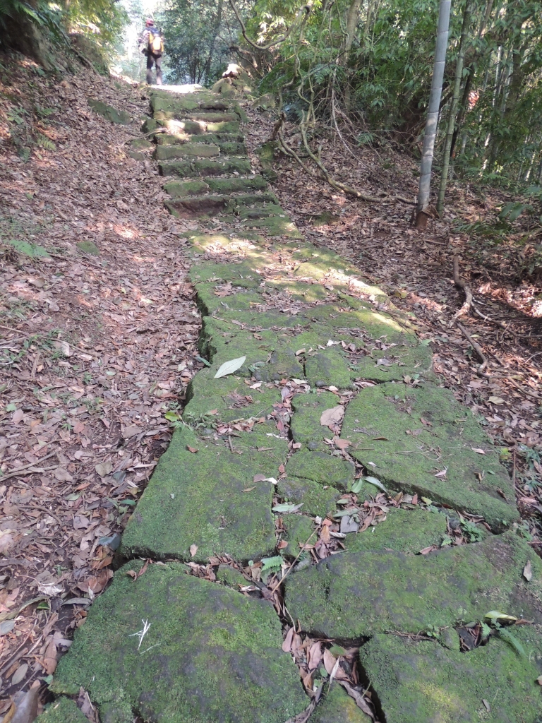 104.01.04  新北投>陽峰古道>猴崁古道_9574