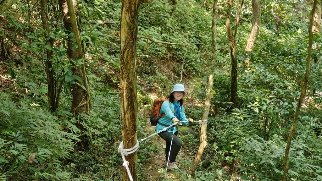 (姨婆趴趴走)第四十九集:攀登連走宜蘭梗枋山、橋板湖山_2747748