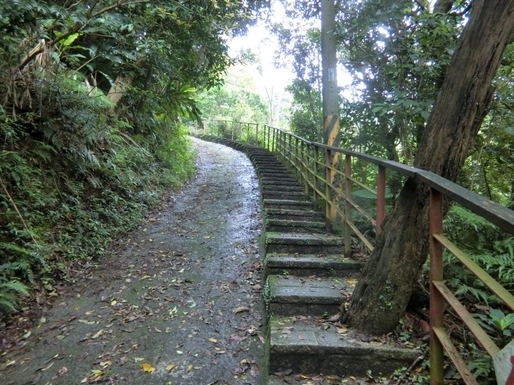 更寮古道（土庫岳）_960262