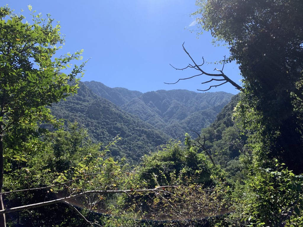 20251018台中八仙山_2921432