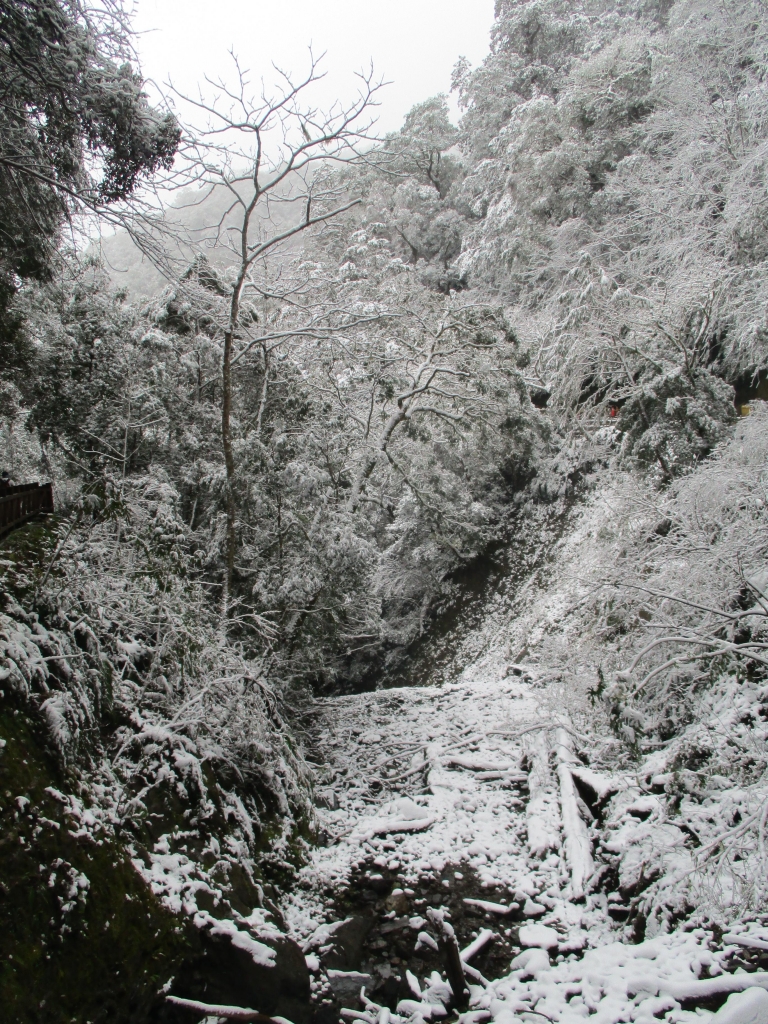 拉拉山之雪_263051