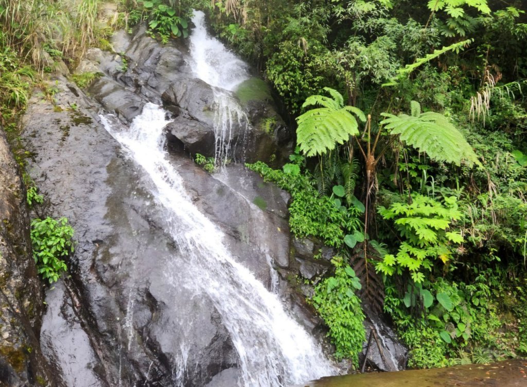 【中級山】來過一次，你不會忘記它的名字，新竹油羅山_2743728