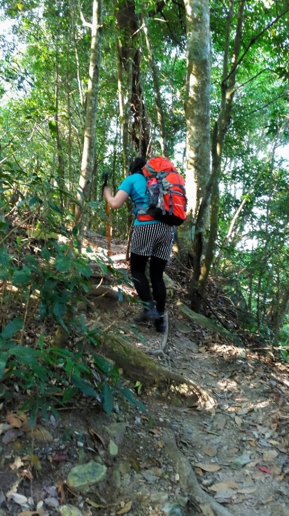 谷關七雄~白毛山_293579