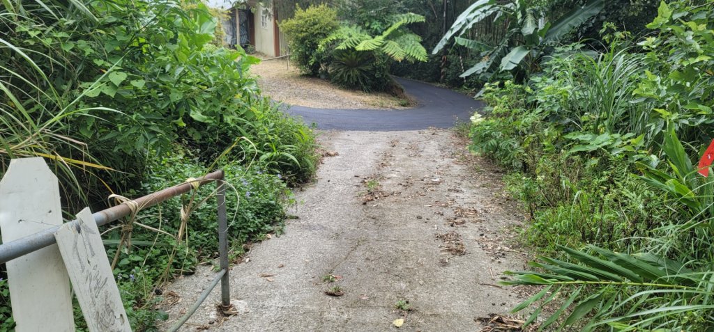 2022森遊竹縣 皮皮獅同樂會 031 鵝公髻山步道 20220723(二)_1788671