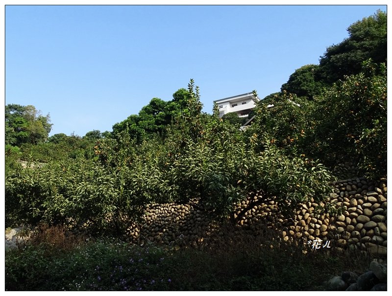 豐原/ 公老坪旱溪源頭步道_689951