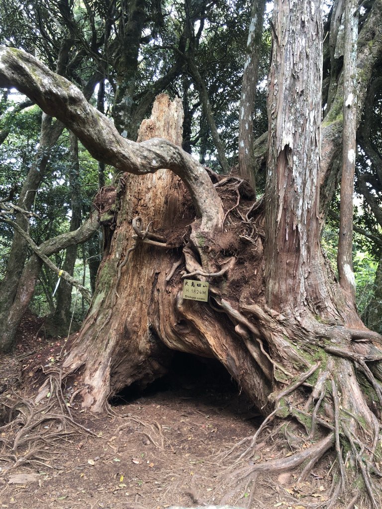 新竹 尖石 高島P_1370082