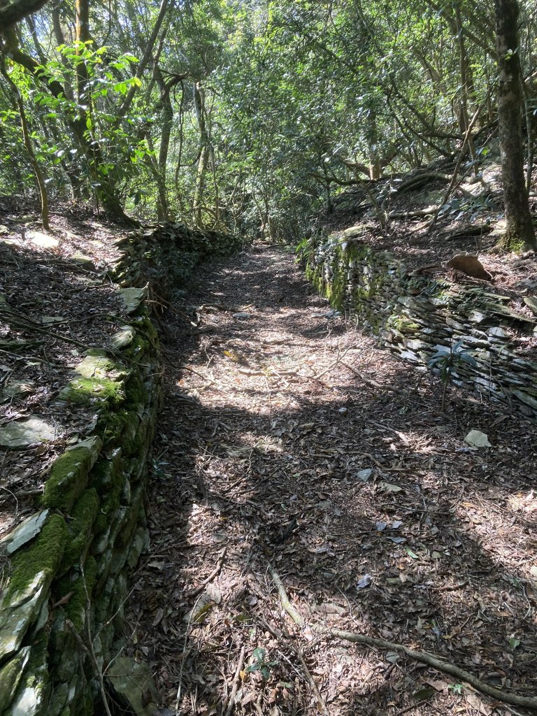 20231118-19六龜警備道_藤枝段_2353019