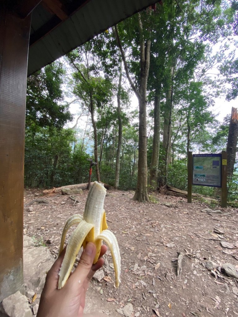 谷關七雄-唐麻丹山_1926089