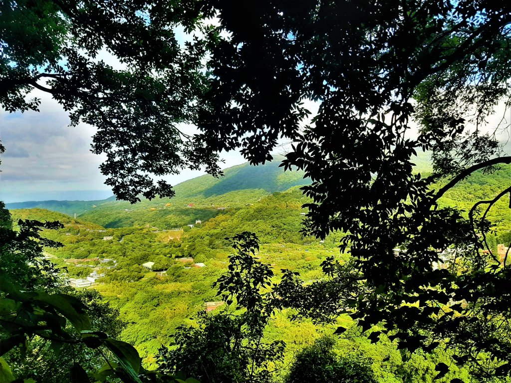 發現陽明山｜天母古道、擎天崗環形步道_1900909