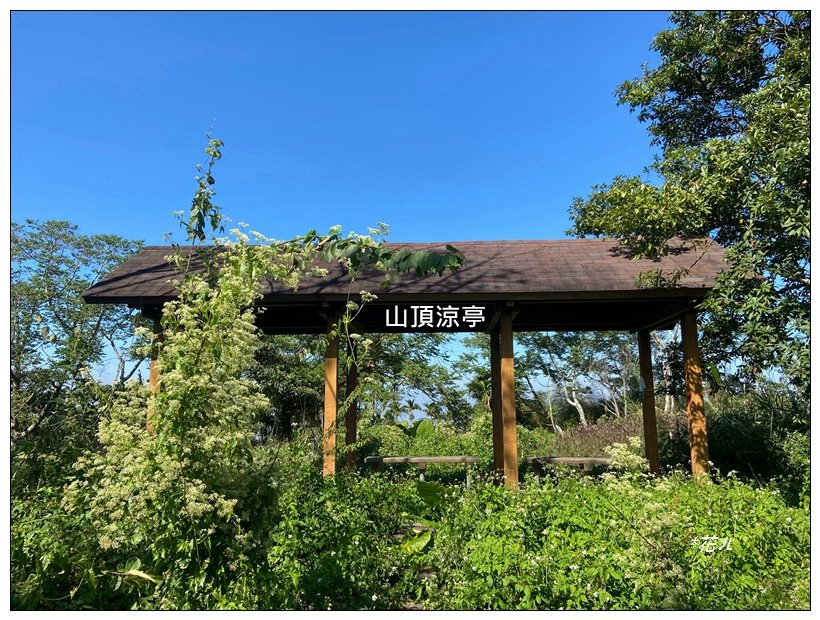麒麟潭步道、尖子頂山(南投、鹿谷)_2665765
