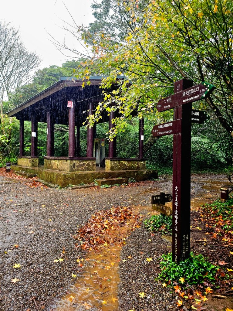 2025臺北大縱走第二段：二子坪至小油坑_2973513